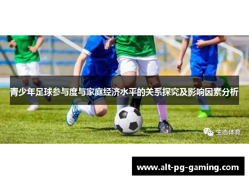 青少年足球参与度与家庭经济水平的关系探究及影响因素分析